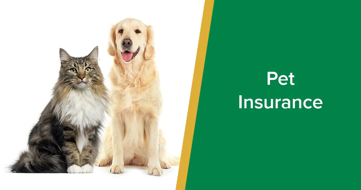 top 3 pet insurance companies